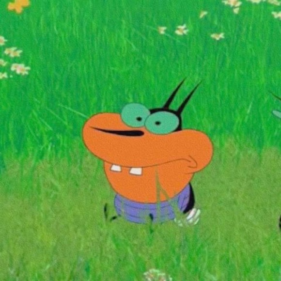 Meet your Posher, Đậu - Picture 1 of 1